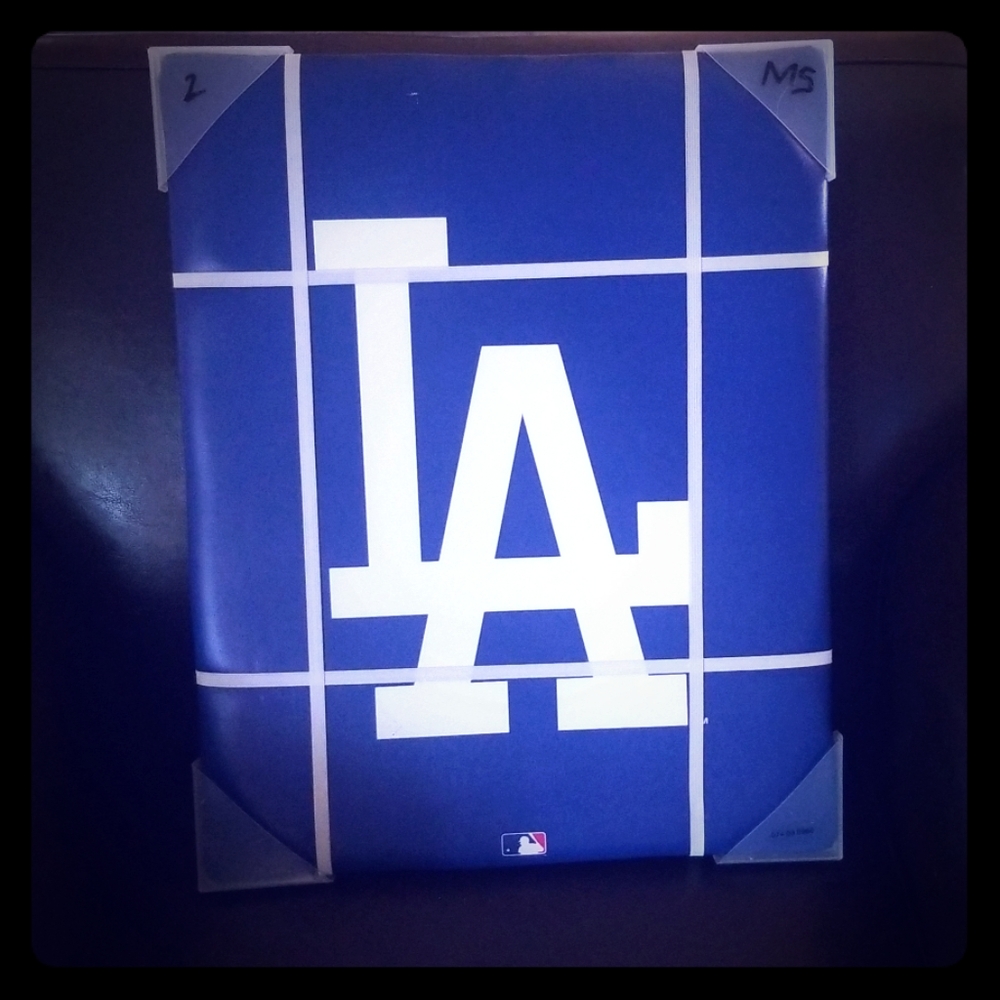 Dodger frame